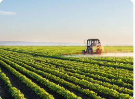 Agriculture industries segment