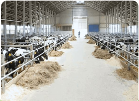 Animal feed industries segment